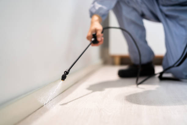 Licensed Mosquito Control service in Radford, VA - Show Me Pest Control