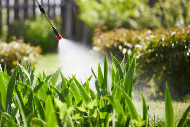 24/7 Emergency Mosquito Control experts in Radford, VA