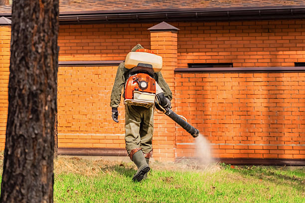 Top rated local Mosquito Control specialists in Radford, VA